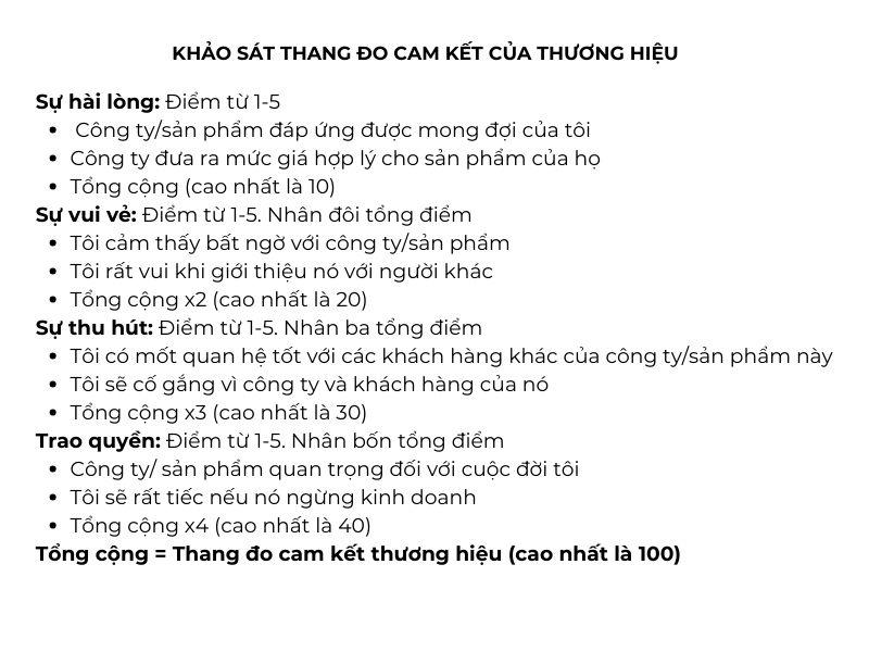 Thang đo khảo sát các cam kết của thương hiệu